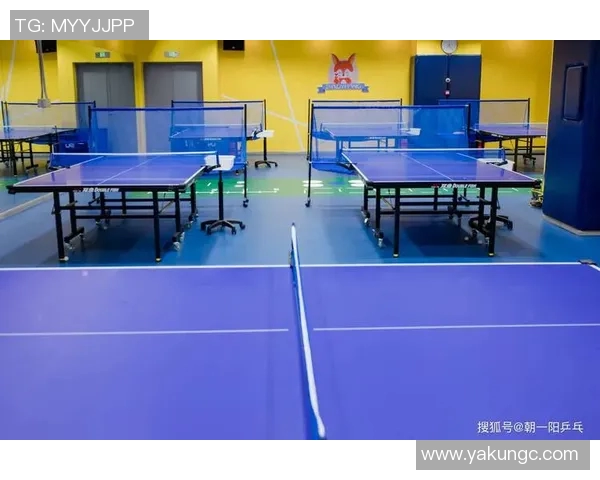 深圳乒乓球队个人能力提升之路探索与实践分析